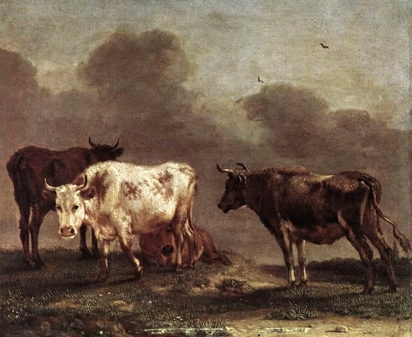 Mucche in un prato - Rijksmuseum Amsterdam